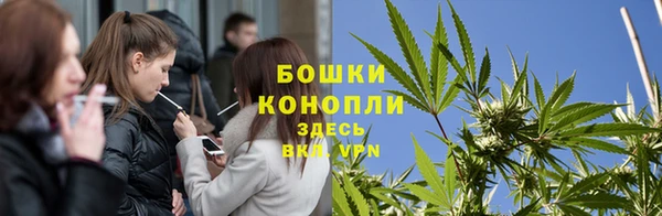 ALPHA PVP Богородицк