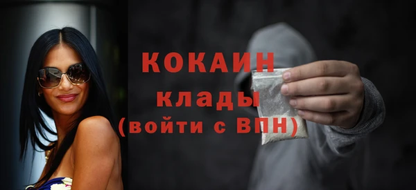 твердый Богданович