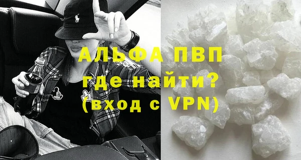 твердый Богданович