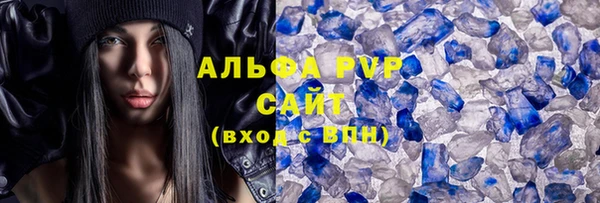 твердый Богданович