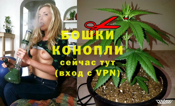 ALPHA PVP Богородицк