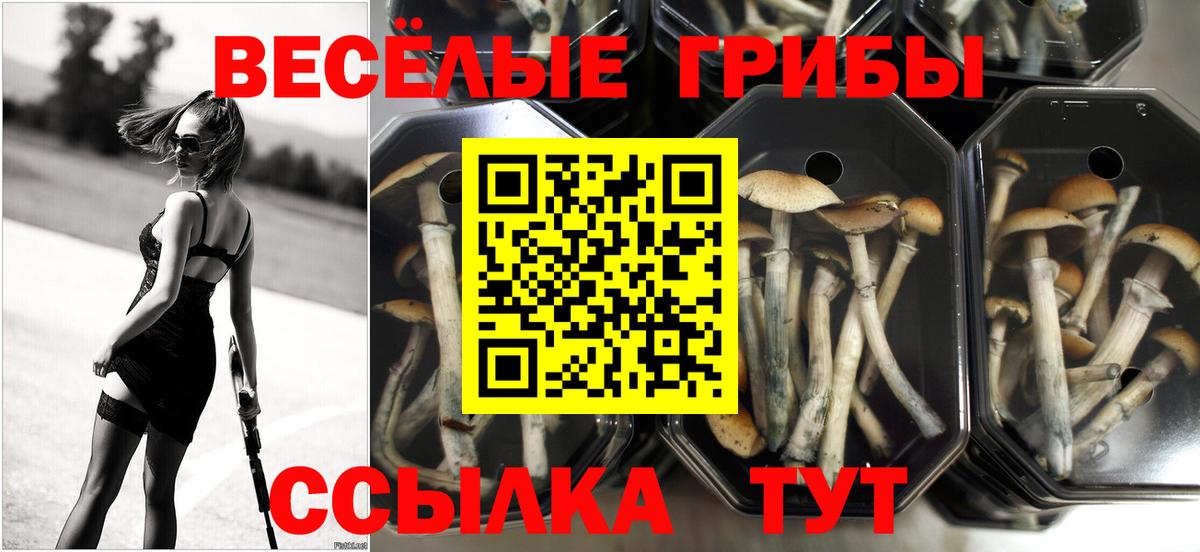Бутурлиновка  Псилоцибиновые грибы Magic Shrooms  Вход с VPN 